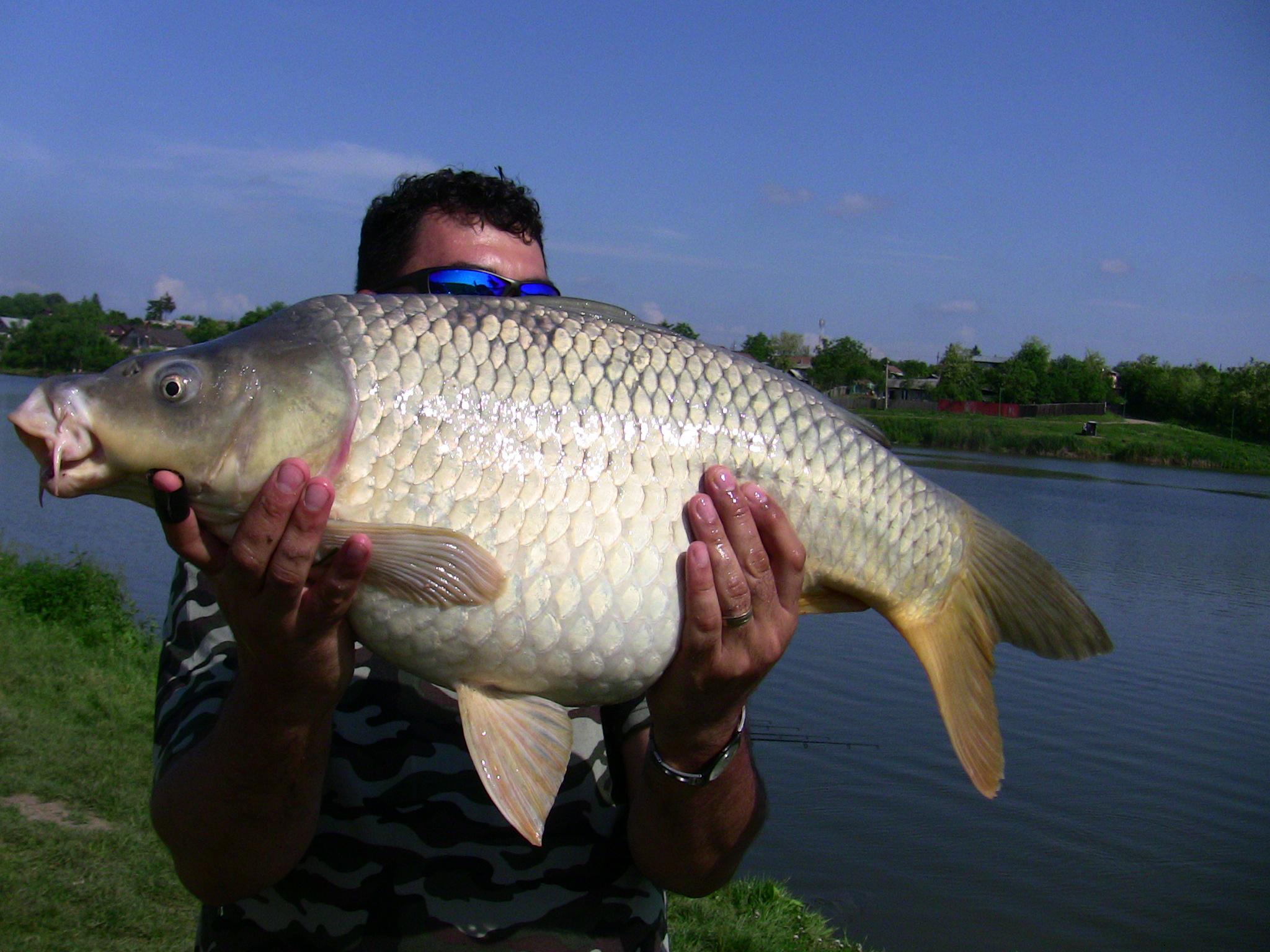 Moara Vlasiei 2012 - IMG_0137.JPG